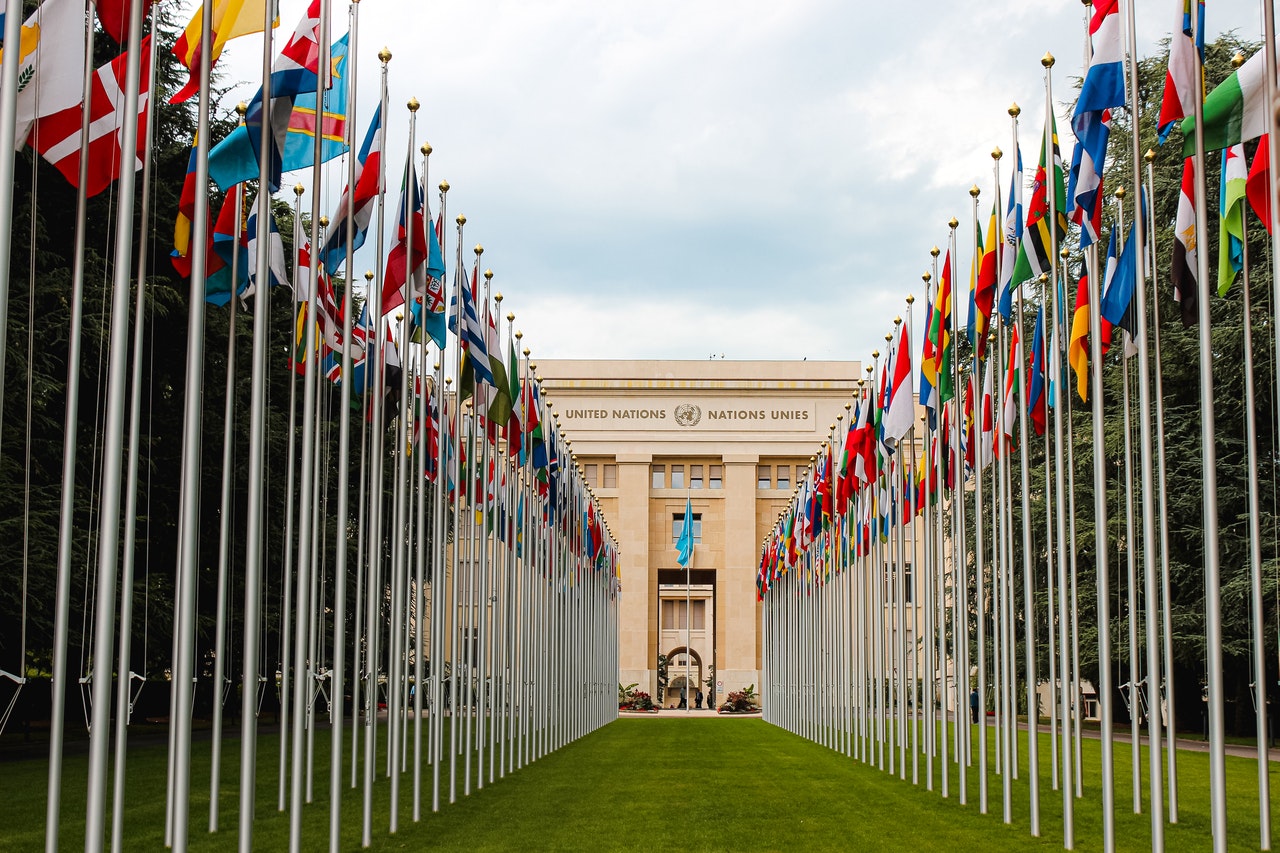 The lawn in front of a United Nations building, with a line of national flags on either side.